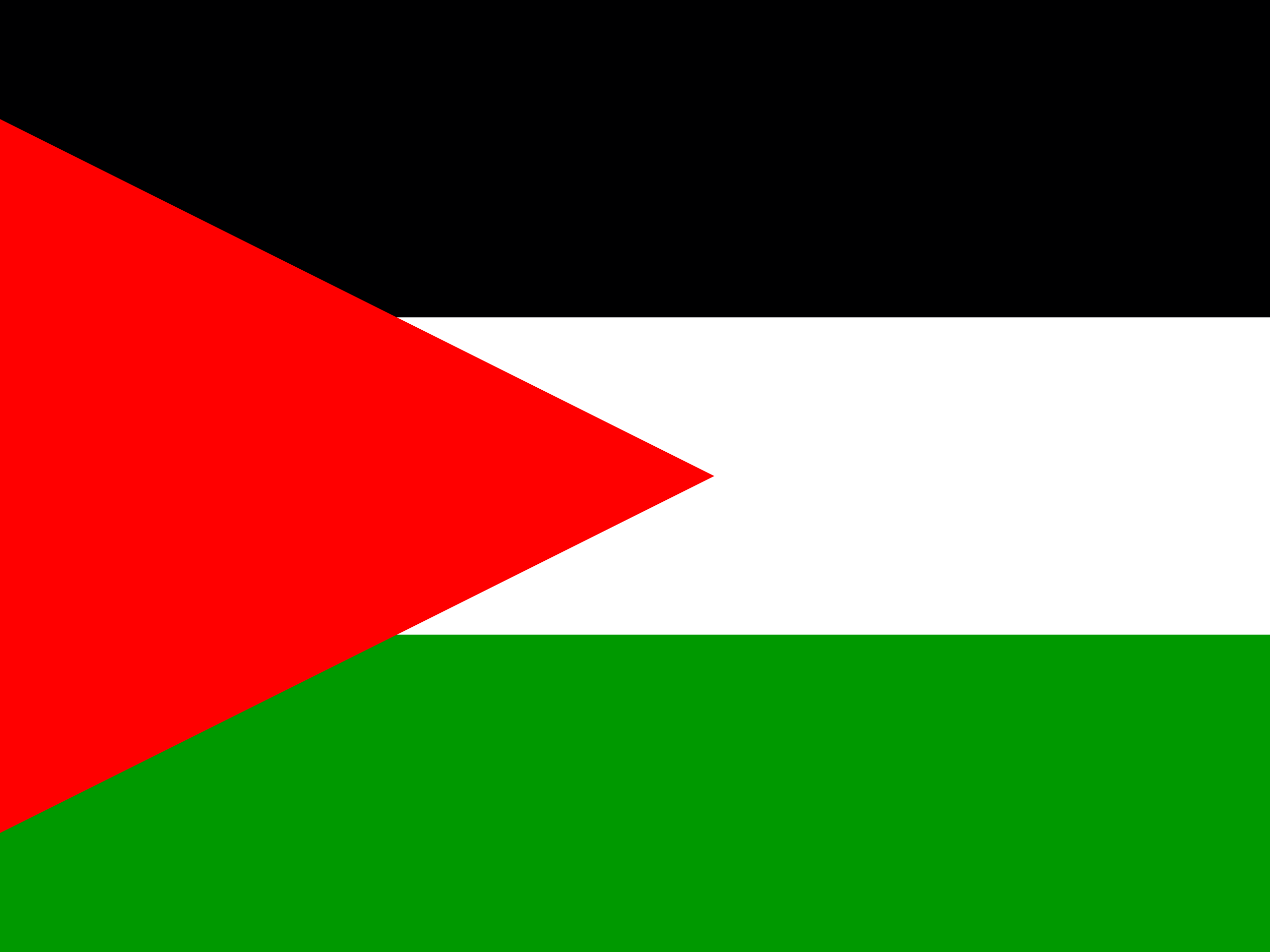 PSE Palestine